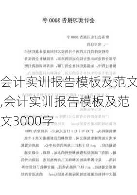 会计实训报告模板及范文,会计实训报告模板及范文3000字