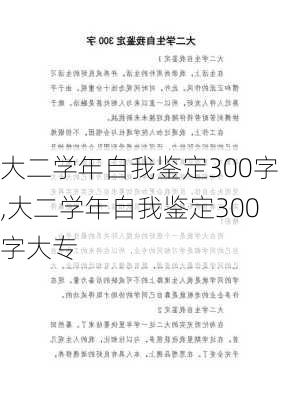 大二学年自我鉴定300字,大二学年自我鉴定300字大专