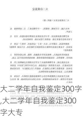 大二学年自我鉴定300字,大二学年自我鉴定300字大专