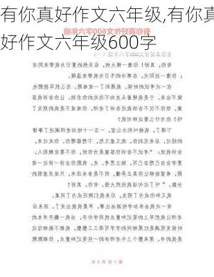 有你真好作文六年级,有你真好作文六年级600字