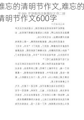 难忘的清明节作文,难忘的清明节作文600字