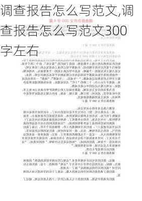 调查报告怎么写范文,调查报告怎么写范文300字左右