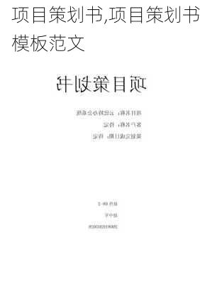 项目策划书,项目策划书模板范文