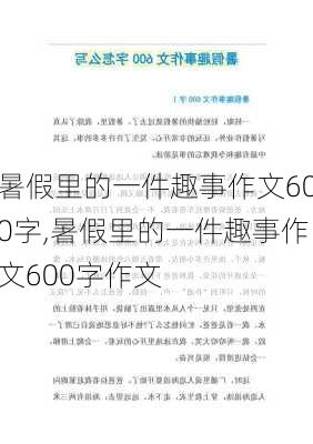 暑假里的一件趣事作文600字,暑假里的一件趣事作文600字作文