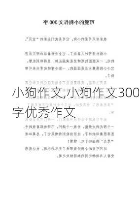 小狗作文,小狗作文300字优秀作文