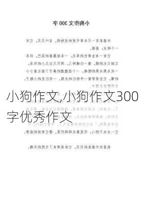 小狗作文,小狗作文300字优秀作文