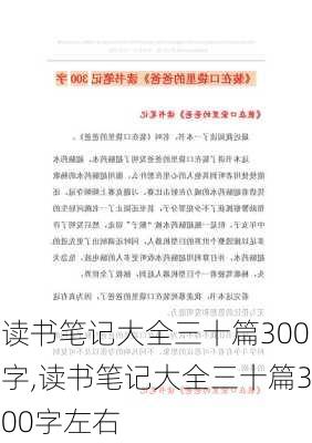 读书笔记大全三十篇300字,读书笔记大全三十篇300字左右