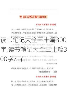 读书笔记大全三十篇300字,读书笔记大全三十篇300字左右