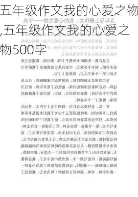 五年级作文我的心爱之物,五年级作文我的心爱之物500字