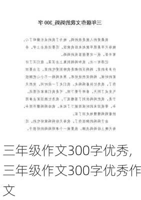 三年级作文300字优秀,三年级作文300字优秀作文