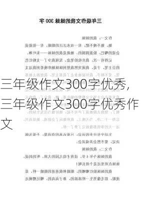 三年级作文300字优秀,三年级作文300字优秀作文