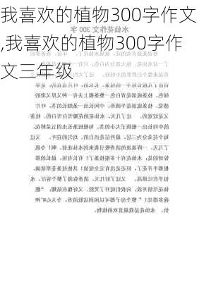 我喜欢的植物300字作文,我喜欢的植物300字作文三年级