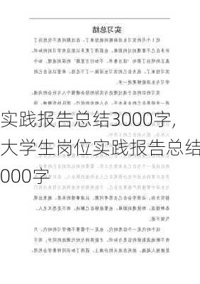 实践报告总结3000字,大学生岗位实践报告总结3000字