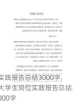 实践报告总结3000字,大学生岗位实践报告总结3000字