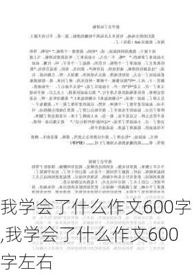 我学会了什么作文600字,我学会了什么作文600字左右