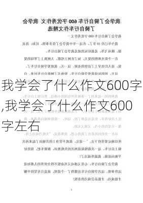 我学会了什么作文600字,我学会了什么作文600字左右