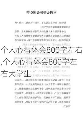 个人心得体会800字左右,个人心得体会800字左右大学生