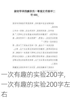 一次有趣的实验200字,一次有趣的实验200字左右