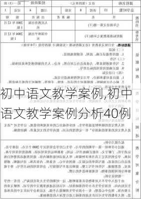 初中语文教学案例,初中语文教学案例分析40例