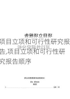 项目立项和可行性研究报告,项目立项和可行性研究报告顺序