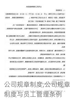 公司规章制度,公司规章制度与员工管理条例