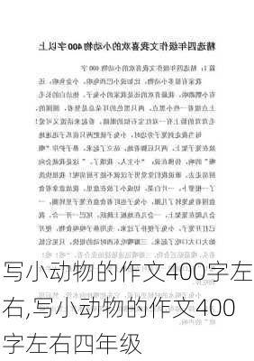 写小动物的作文400字左右,写小动物的作文400字左右四年级