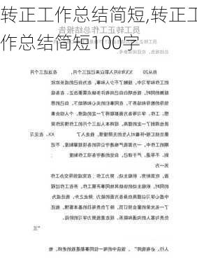 转正工作总结简短,转正工作总结简短100字