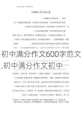 初中满分作文600字范文,初中满分作文初中