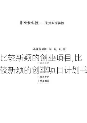 比较新颖的创业项目,比较新颖的创业项目计划书