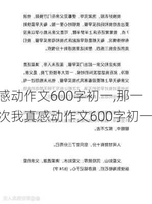 感动作文600字初一,那一次我真感动作文600字初一