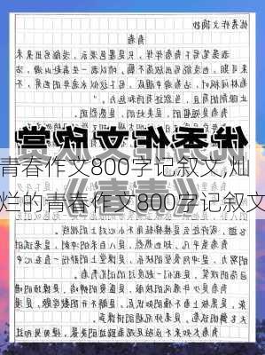 青春作文800字记叙文,灿烂的青春作文800字记叙文