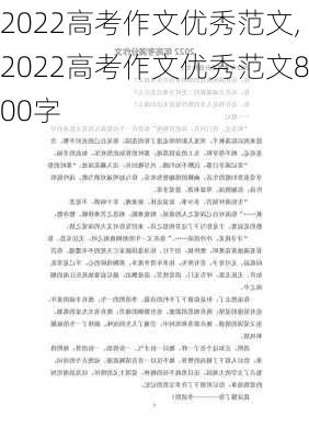 2022高考作文优秀范文,2022高考作文优秀范文800字