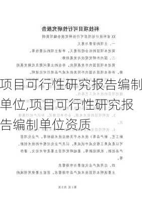 项目可行性研究报告编制单位,项目可行性研究报告编制单位资质