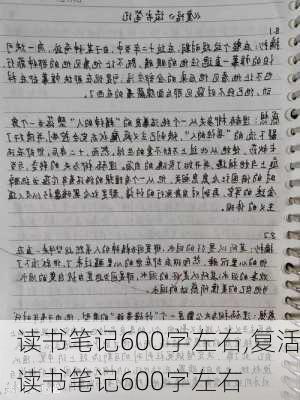 读书笔记600字左右,复活读书笔记600字左右