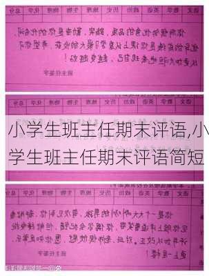 小学生班主任期末评语,小学生班主任期末评语简短