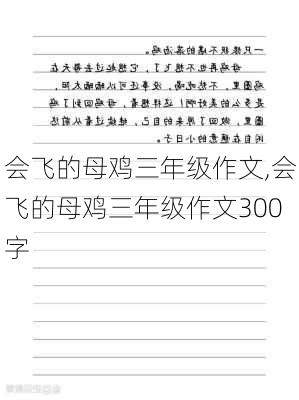 会飞的母鸡三年级作文,会飞的母鸡三年级作文300字