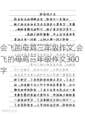 会飞的母鸡三年级作文,会飞的母鸡三年级作文300字