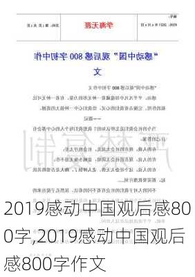 2019感动中国观后感800字,2019感动中国观后感800字作文