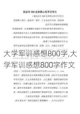 大学军训感想800字,大学军训感想800字作文