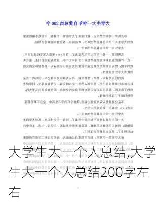 大学生大一个人总结,大学生大一个人总结200字左右