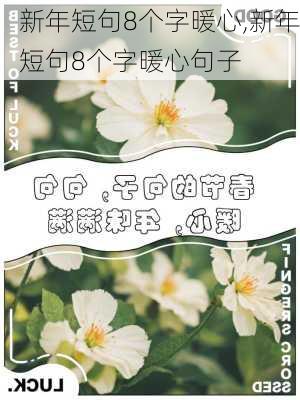 新年短句8个字暖心,新年短句8个字暖心句子