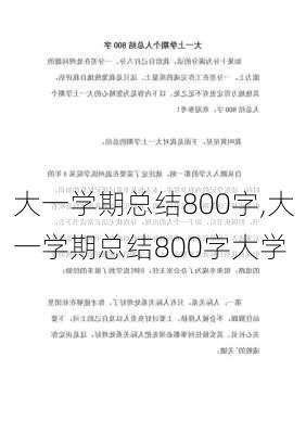 大一学期总结800字,大一学期总结800字大学