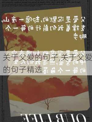 关于父爱的句子,关于父爱的句子精选