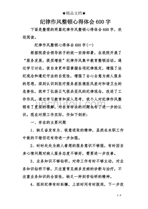 纪律作风集中整顿心得体会,纪律作风集中整顿心得体会幼儿教师