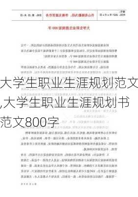 大学生职业生涯规划范文,大学生职业生涯规划书范文800字