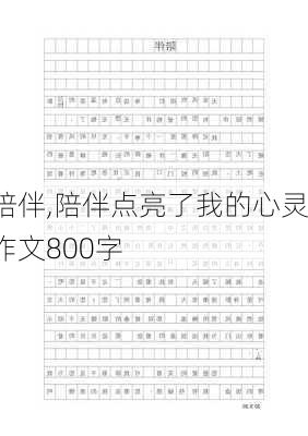 陪伴,陪伴点亮了我的心灵作文800字