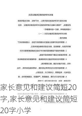 家长意见和建议简短20字,家长意见和建议简短20字小学