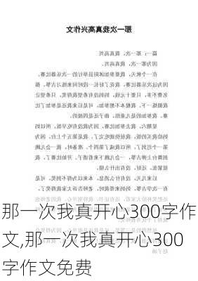 那一次我真开心300字作文,那一次我真开心300字作文免费