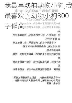 我最喜欢的动物小狗,我最喜欢的动物小狗300字作文