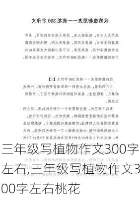 三年级写植物作文300字左右,三年级写植物作文300字左右桃花